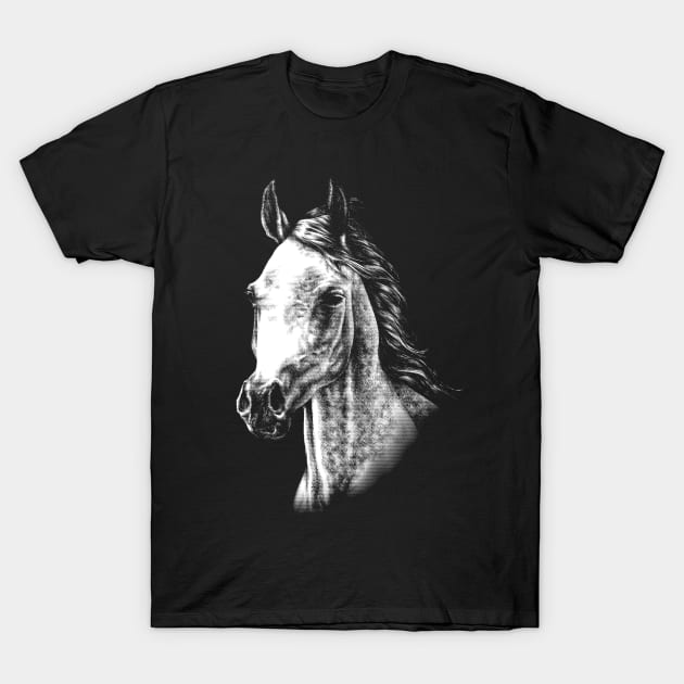 Arabian Horse Animal Portrait T-Shirt by MMMSDesigns